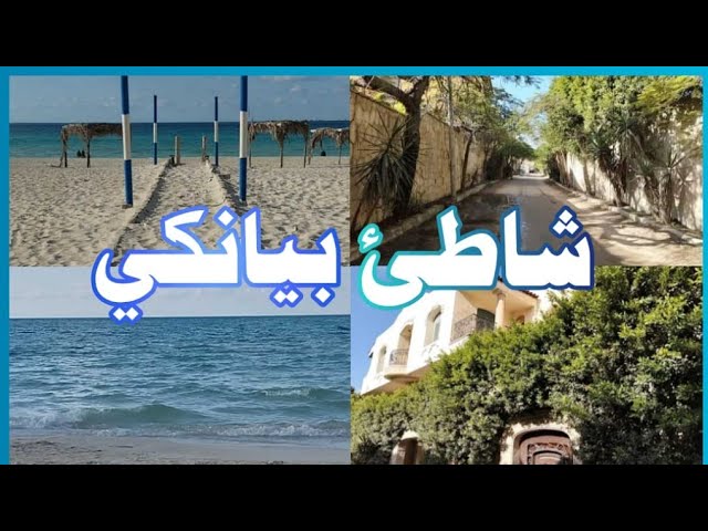 شاطئ الفردوس / قطاع ٥ - شركات تنظيف في الإسكندرية