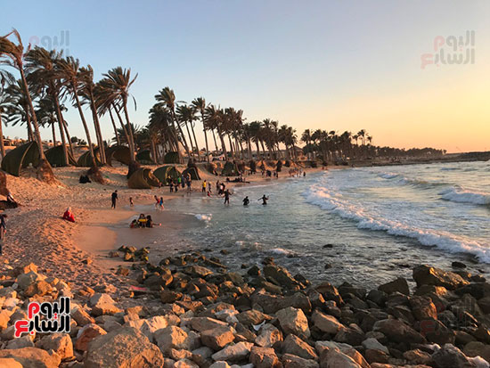 شاطئ الريسه - زراعة الشعر في شمال سيناء