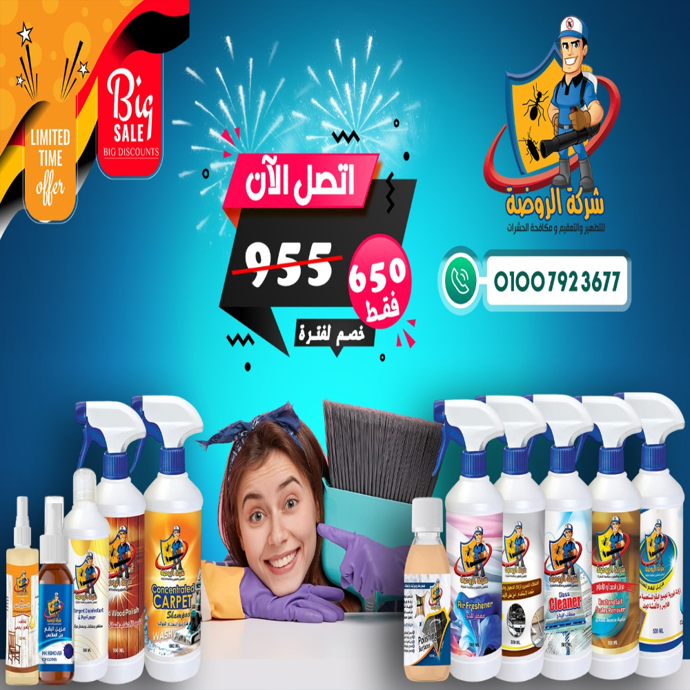 شركة الروضة لمكافحة الحشرات والمنظفات الفندقية - شركات تنظيف في الإسكندرية
