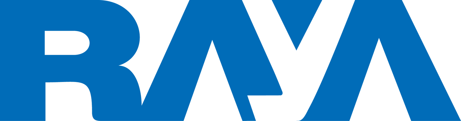 شركة راية - شركات تنظيف في المنيا