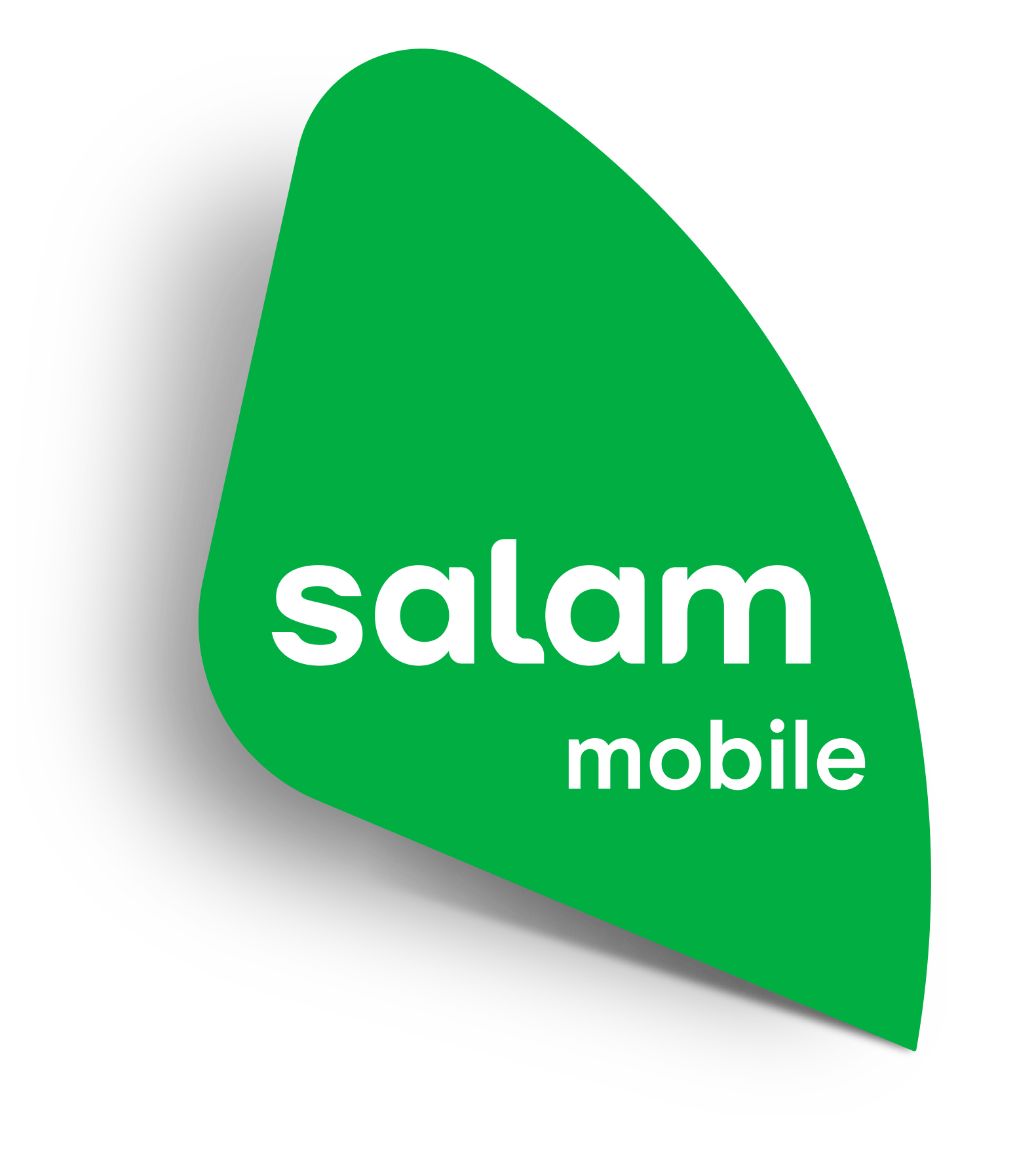 شركة سلام مكة - شركات تنظيف في مكة المكرمة