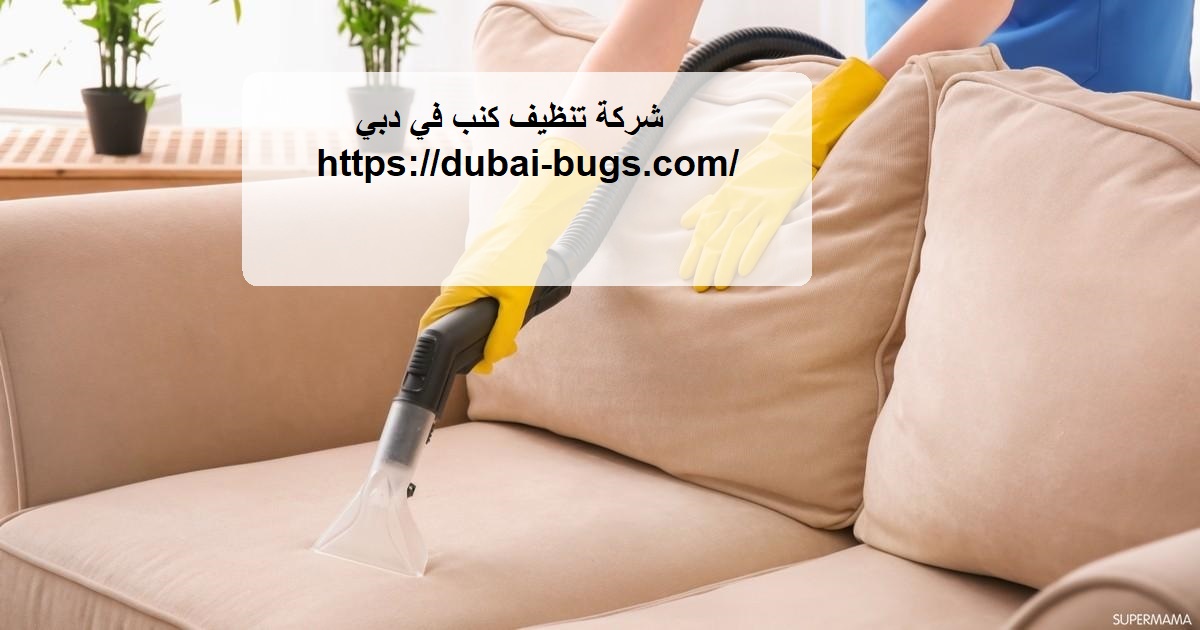 شركة تنظيف فلل في دبي تاچ تنظيف كنب وسجاد وخزانات المياه - شركات تنظيف في دبي