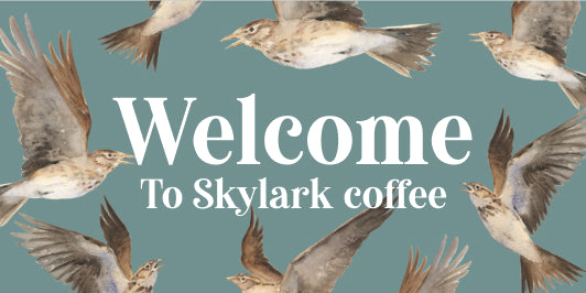 Skylark Coffee House - كافيهات في الزرقاء