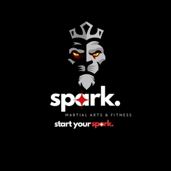 Spark fitness studio - صالات رياضية في أسيوط