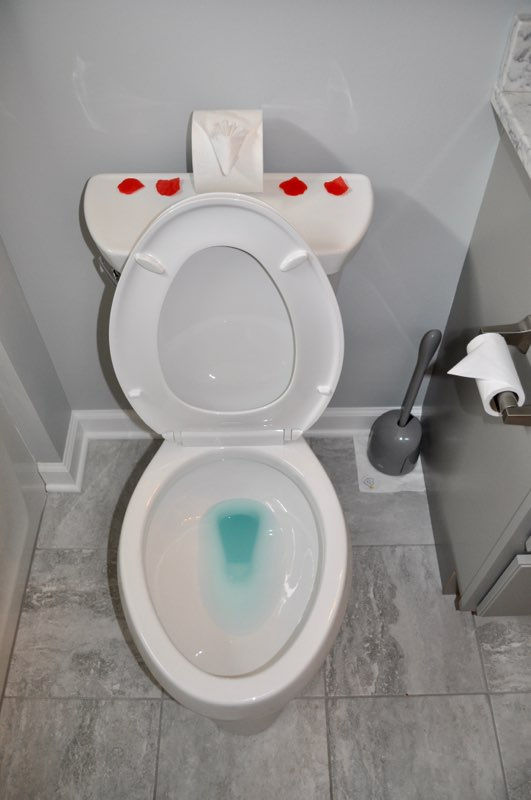 Squeaky Clean Services - شركات تنظيف في دبي