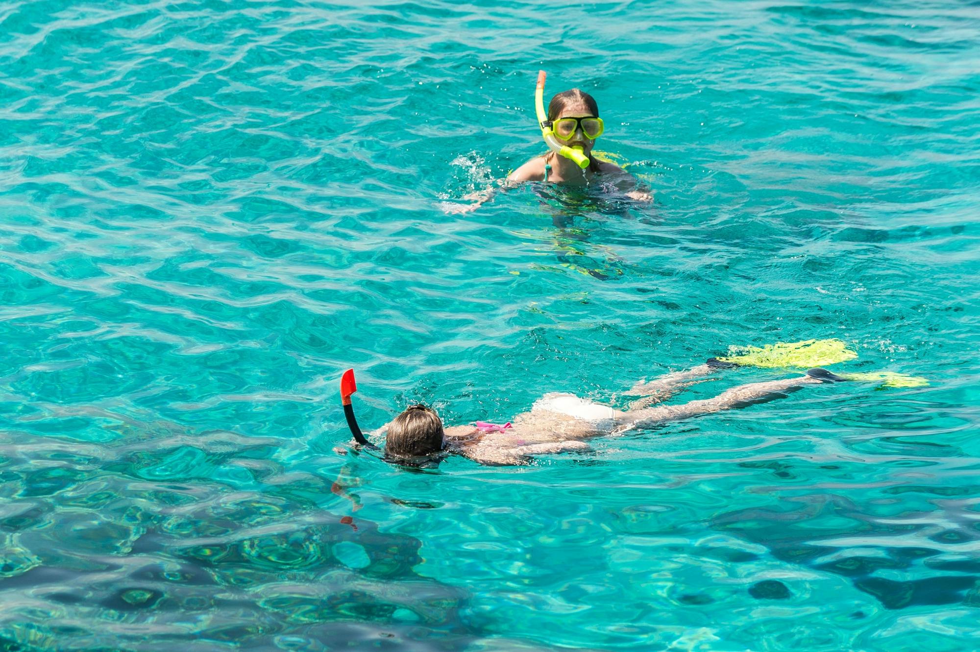 صيدلية النحاس 56 | Nahhas Pharmacy - صيدليات في الشرقية