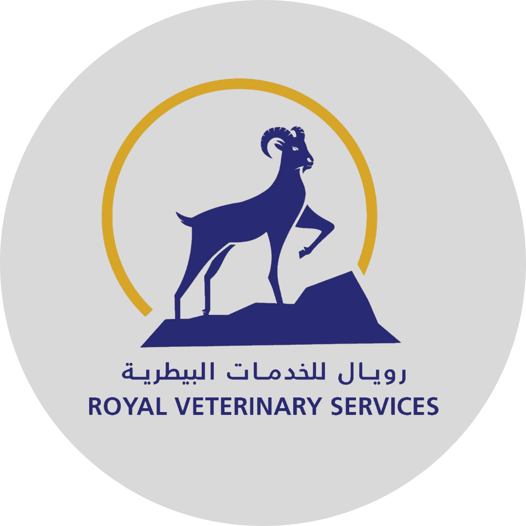 صيدلية إنجاز البيطرية - صيدليات في الخور