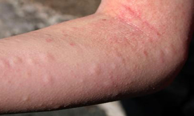 صيدلية أوس وتاليا - صيدليات في الكرك