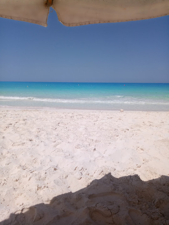 صيدلية جرين بيتش - صيدليات في البحر الأحمر