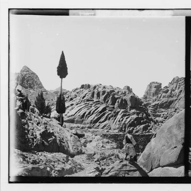 صيدليه المنى - صيدليات في جنوب سيناء