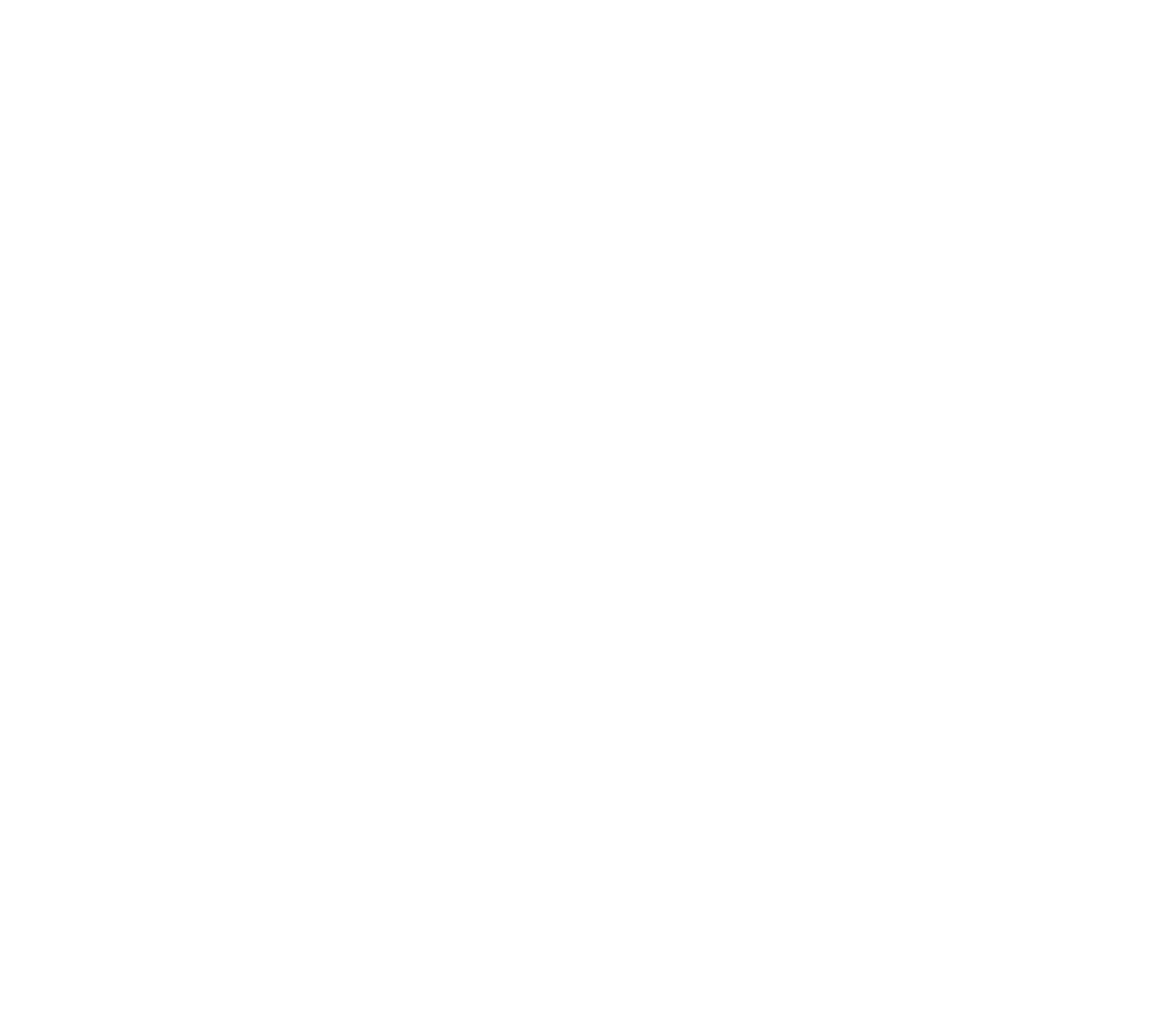 تأجير سيارات الطفيلة - خدمات سيارات في الطفيلة