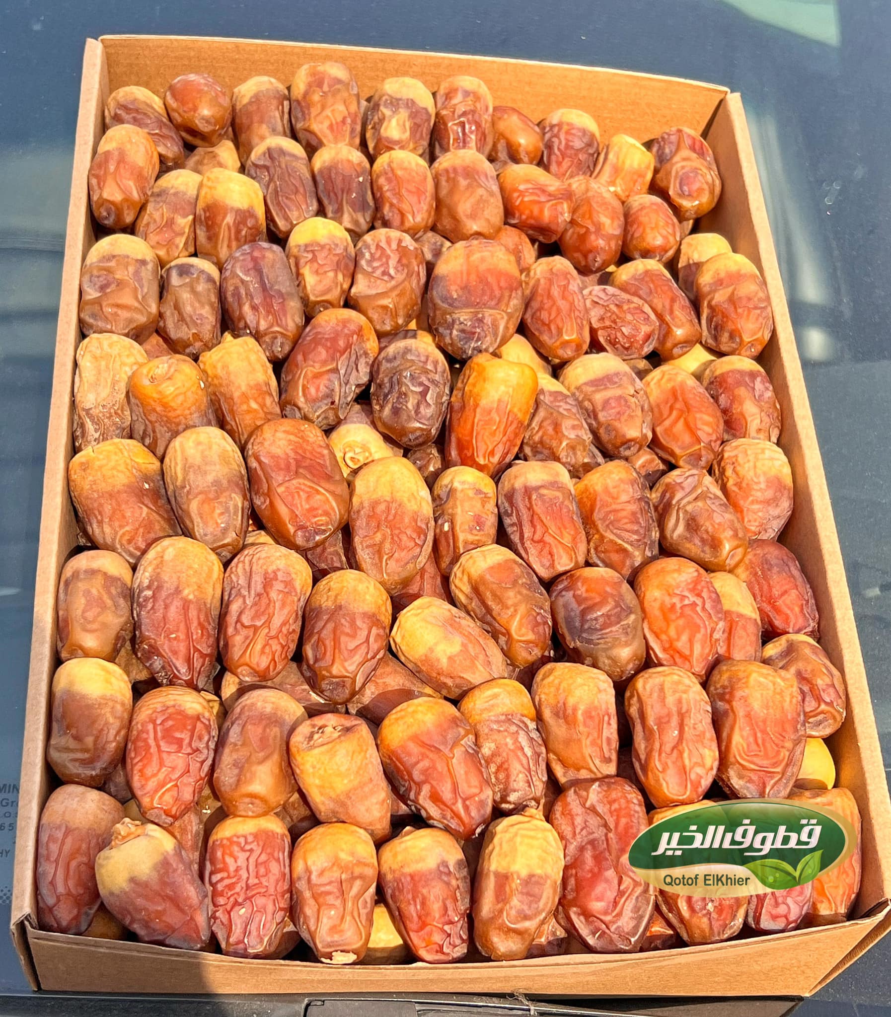 Tamer - صيدليات في الوادي الجديد