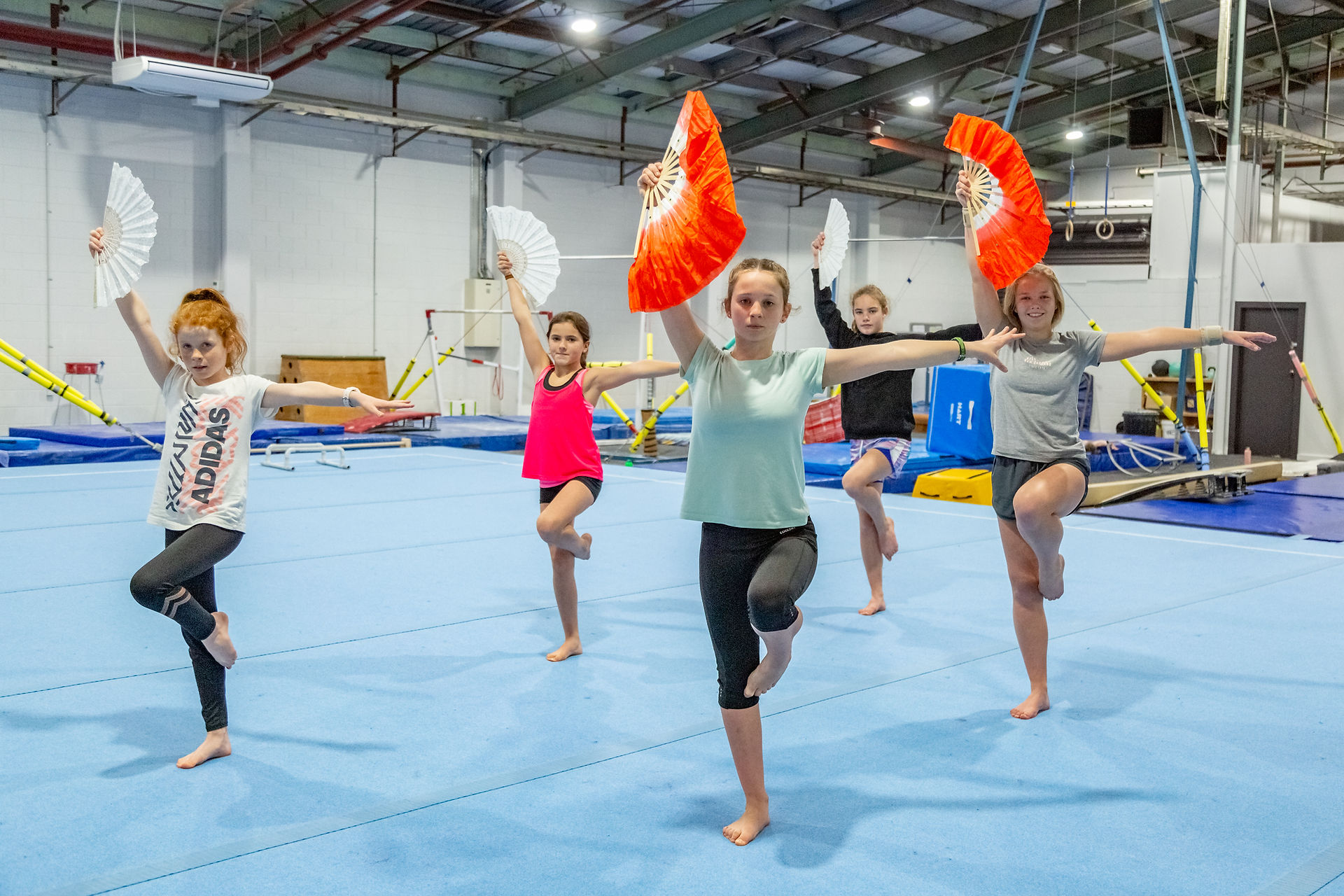 TEAM GYM - مراكز تجميل في شمال سيناء