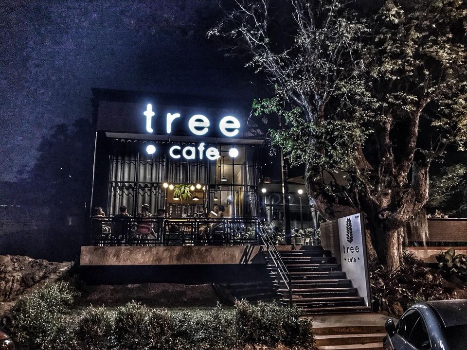TREE cafe - كافيهات في المنوفية