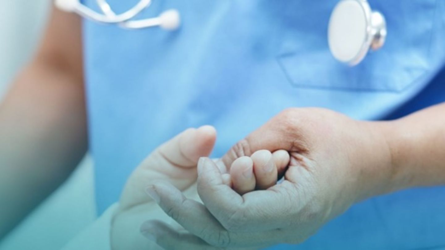 UNIVERSE FITNESS - AJMAN Al KARAMA - صالات رياضية في عجمان