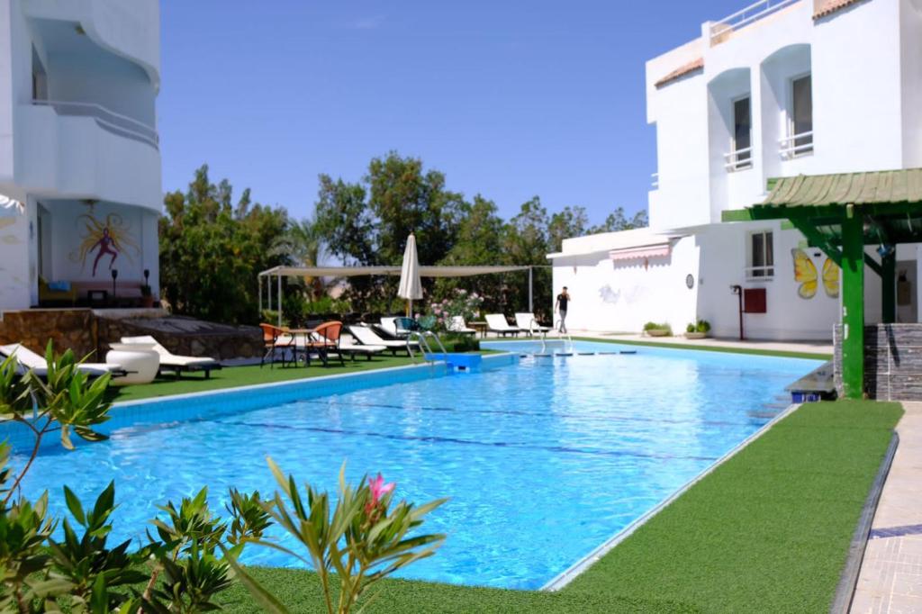 Viking Club - صالات رياضية في الشيخ زايد