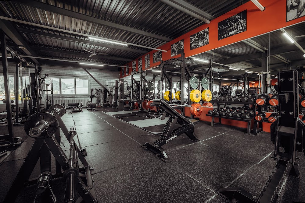 Viking Gym - صالات رياضية في نينوى