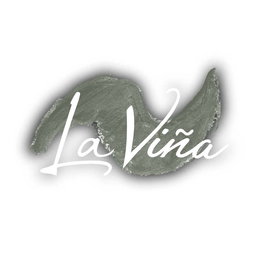 vina pastry - محلات حلويات في النجف