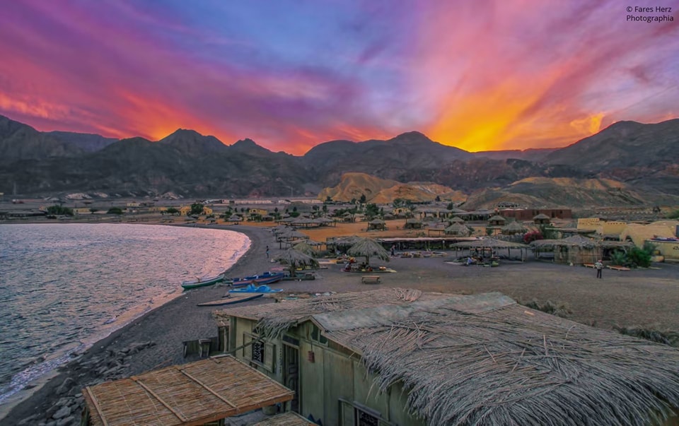 Volocare - زراعة الشعر في شرم الشيخ