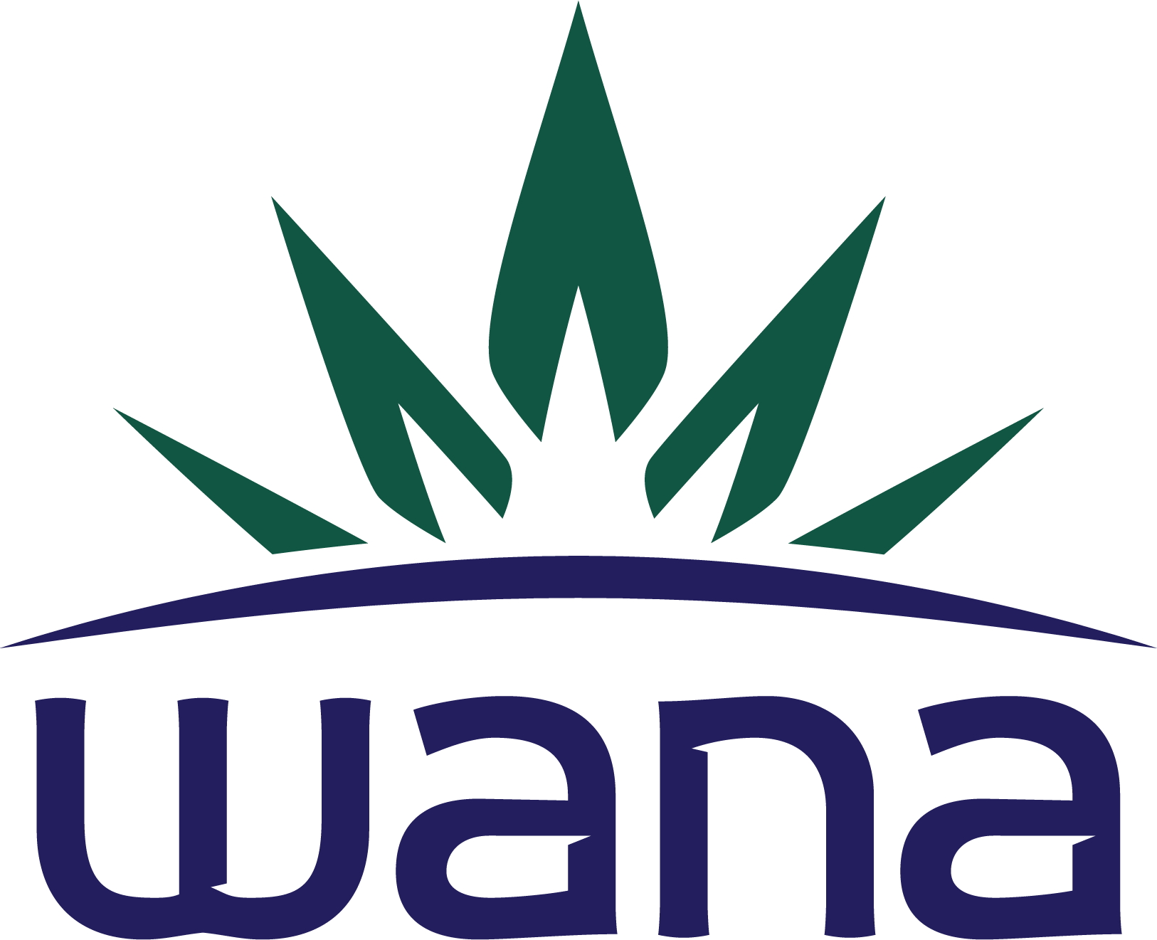 Wana Spa For man - صالونات تجميل في الظاهرة