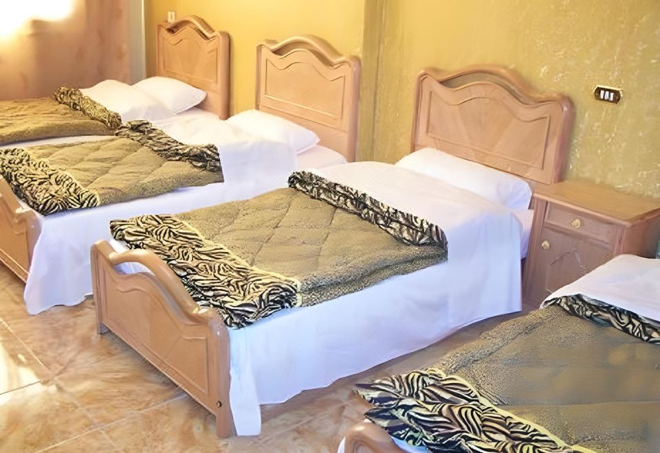 وايك اب كايرو هوستيل - فنادق في القاهرة