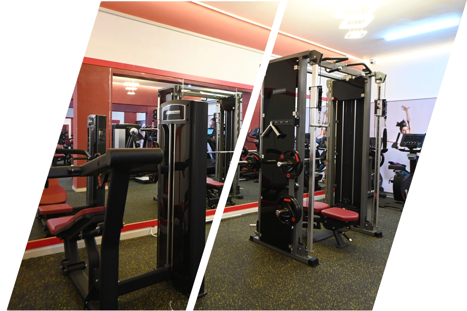 Wellness World Ladies Fitness - صالات رياضية في الشارقة