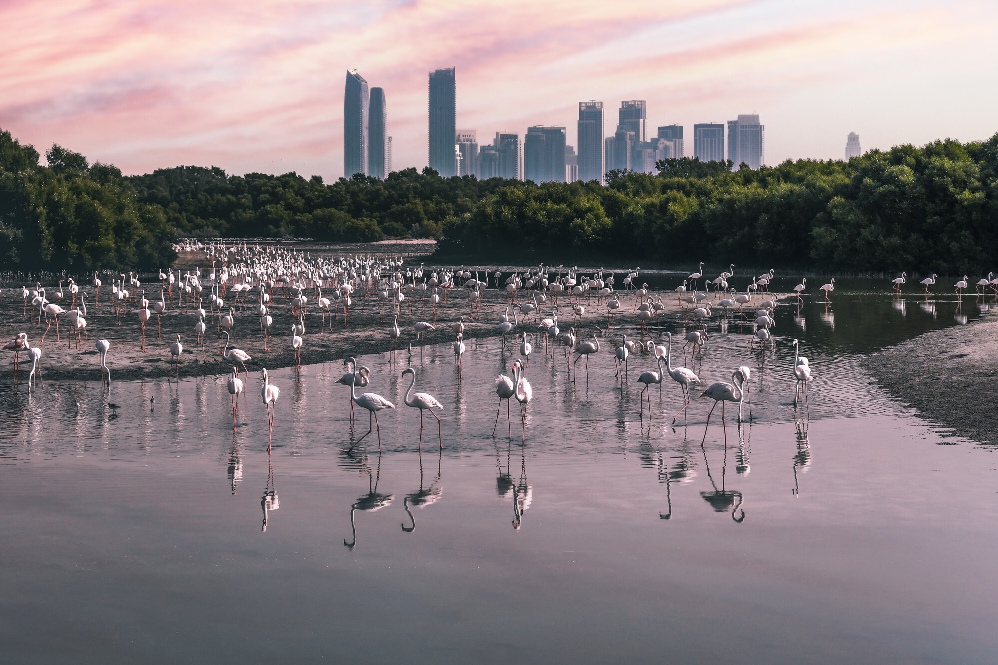 YASMED CLINIC - Ras Al khor - مراكز طبية في دبي
