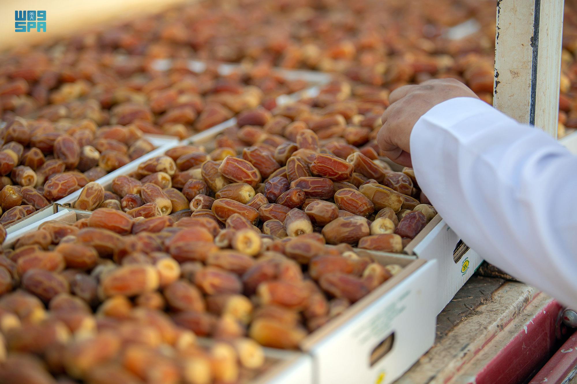 زمان القصيم للتمور - حلويات في القصيم